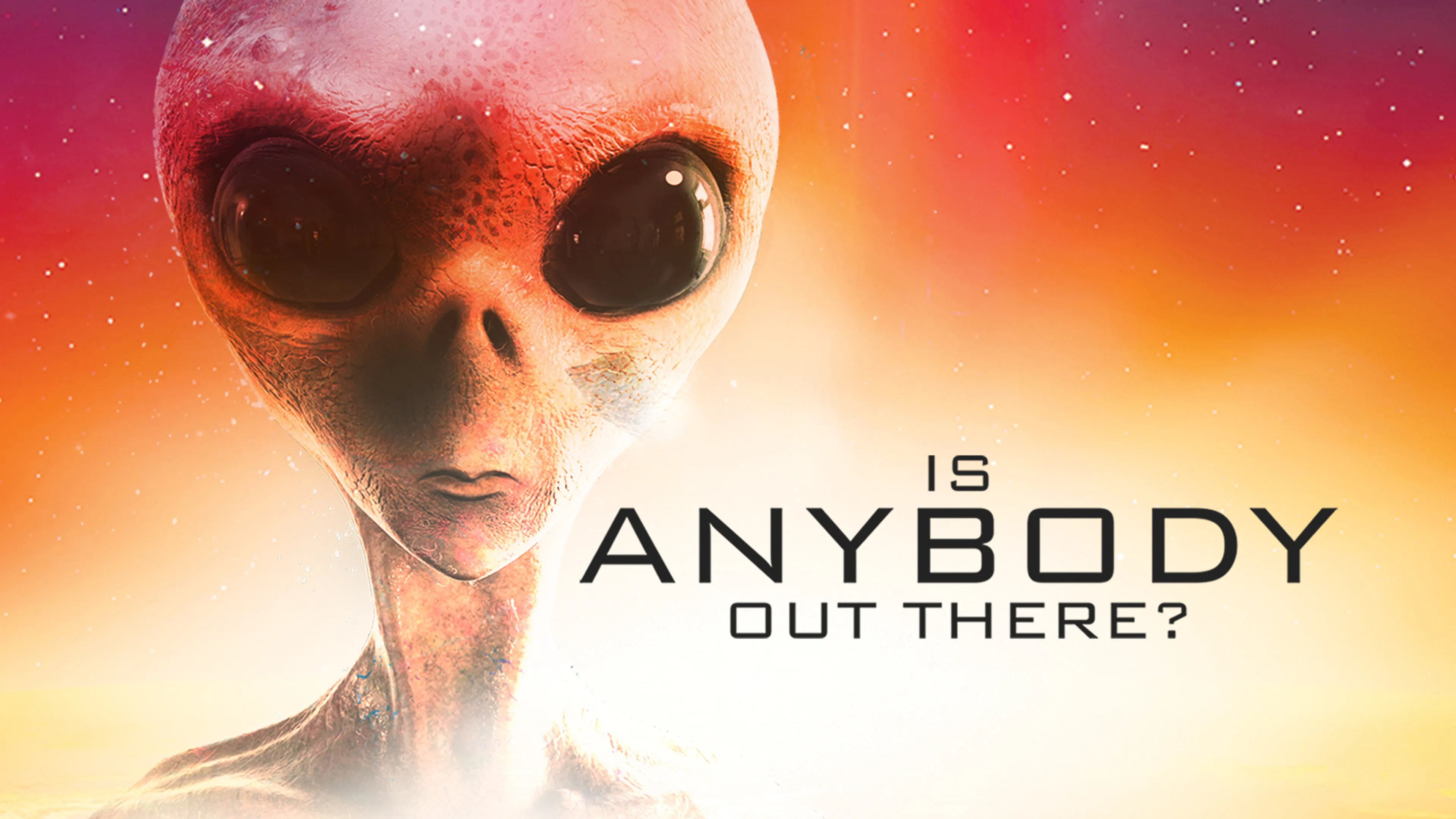 Is Anybody Out There? poster